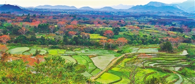 4210803_hnrbtp1_1549979650630_b