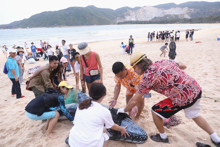 2月23日,志愿者在后海灣南部海灘區(qū)域撿拾垃圾-11 2月23日,志愿者在后海灣南部海灘區(qū)域撿拾垃圾-11
