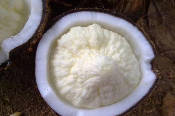 微信截圖_20190226112447