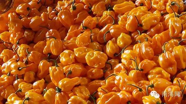 微信圖片_20190308154609