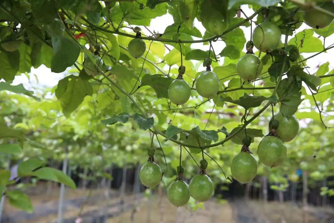 微信圖片_20190523181952