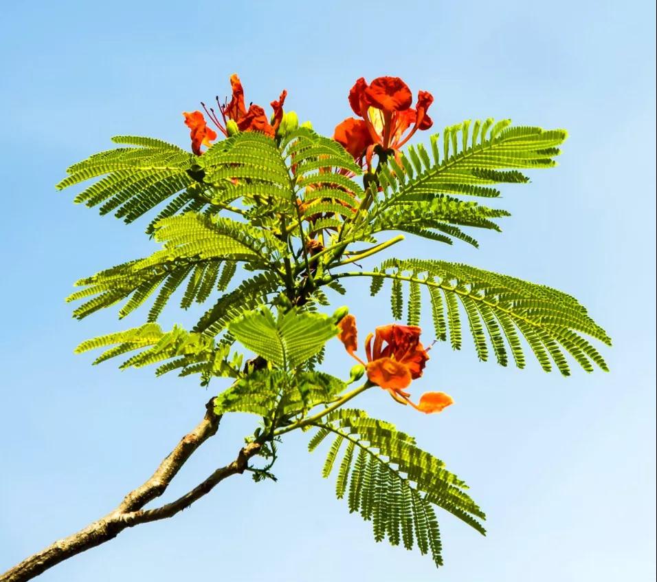 微信圖片_20190524192307