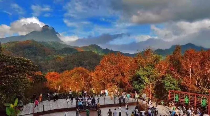 微信圖片_20190527194855 微信圖片_20190527194855