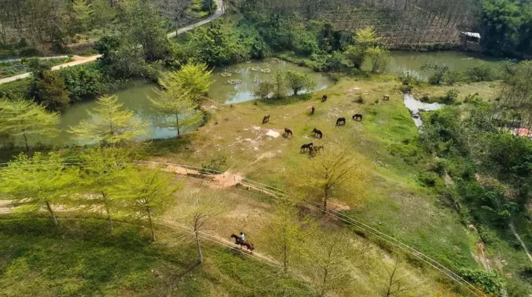 微信圖片_20190605151305