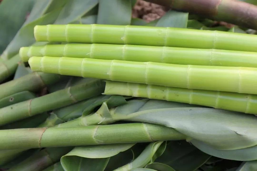 微信圖片_20190704163403