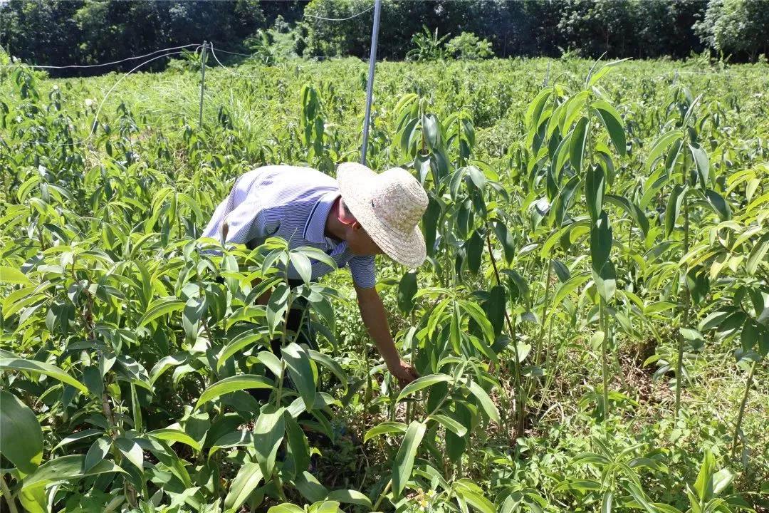 微信圖片_20190704163345