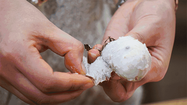 微信圖片_20190709172029 微信圖片_20190709172029