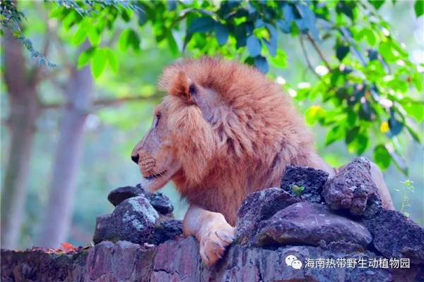 微信圖片_20190712095537