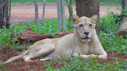 微信圖片_20190712100114