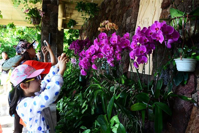 微信圖片_20190715165111 微信圖片_20190715165111