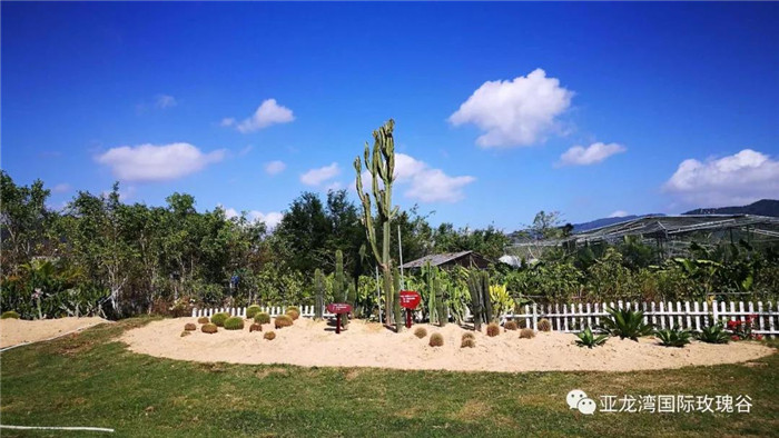 微信圖片_20190718164340 微信圖片_20190718164340