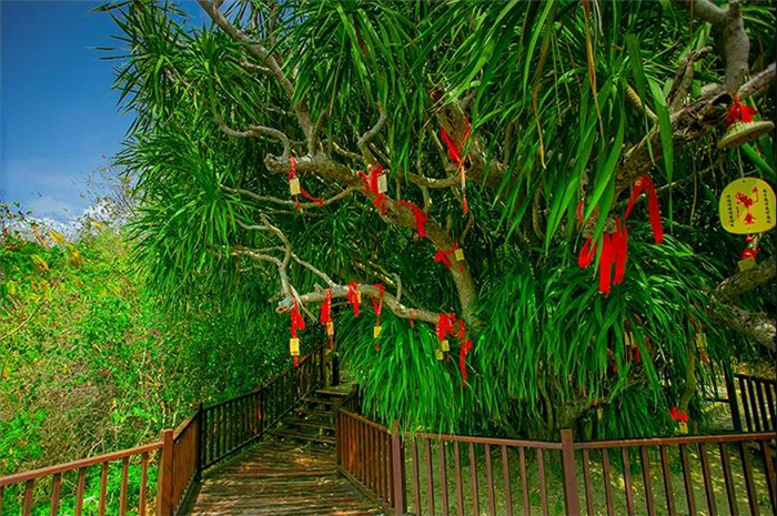 微信圖片_20190831151658