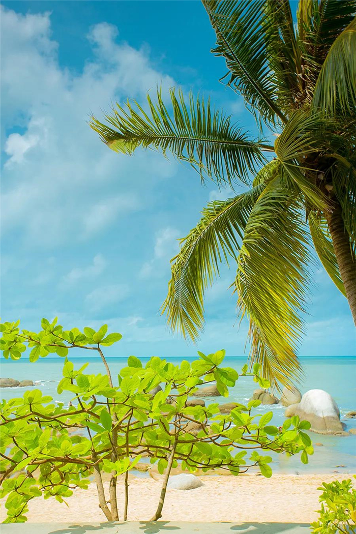 微信圖片_20190831151636