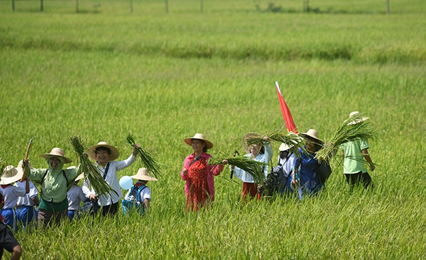 SXF_5867 - 萬(wàn)能看圖王