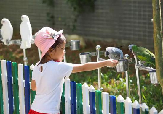 微信圖片_20191001095441