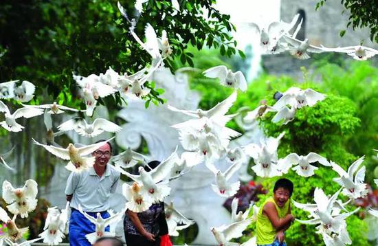 微信圖片_20191001095454