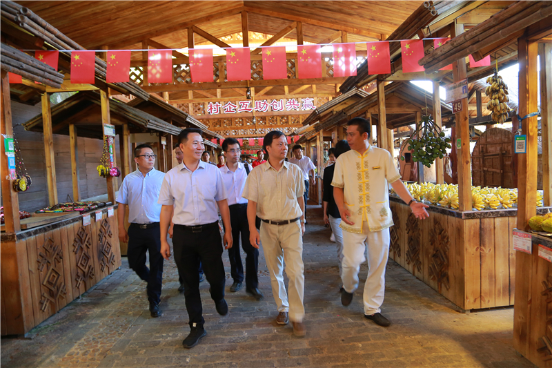 8、海南省商務廳黨組書記、廳長陳希一行到檳榔谷調研