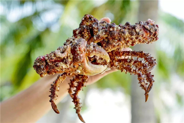 微信圖片_20191031091812 微信圖片_20191031091812