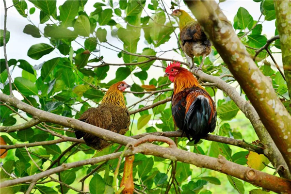 微信圖片_20191031091908 微信圖片_20191031091908