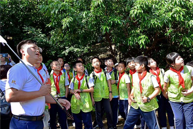 微信圖片_20191118185314 微信圖片_20191118185314