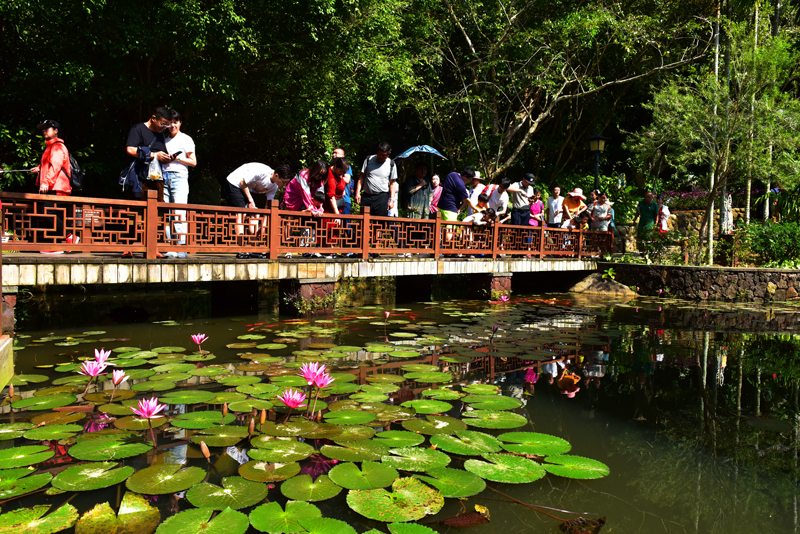 微信圖片_20191121102213