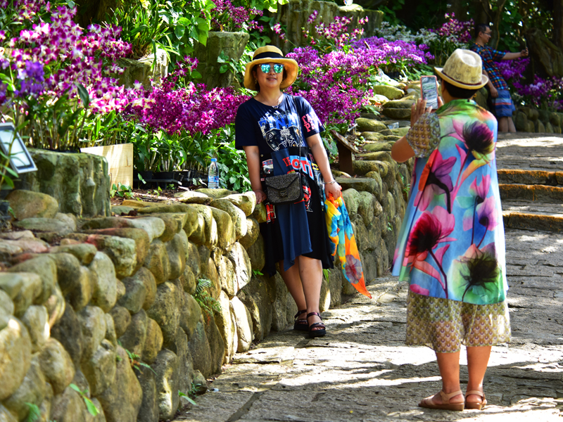 微信圖片_20191128090002 微信圖片_20191128090002