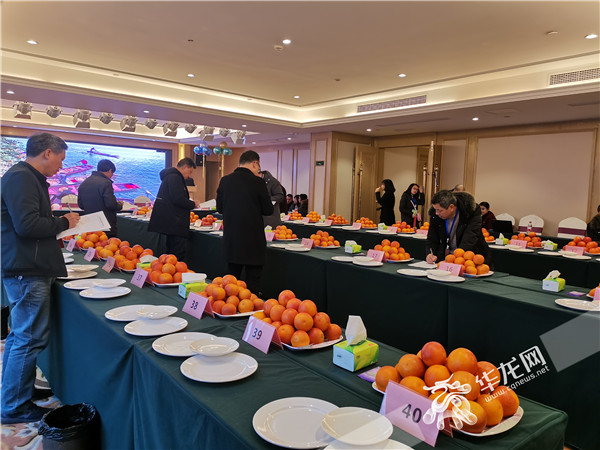 bba78536-6b82-4608-a6d5-f39e3f3cc192 bba78536-6b82-4608-a6d5-f39e3f3cc192