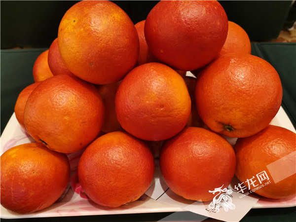 cb9b0cf8-e546-45bf-a21a-4a0b804c0824 cb9b0cf8-e546-45bf-a21a-4a0b804c0824