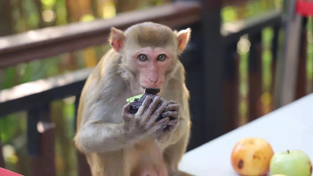 微信圖片_20200313203226