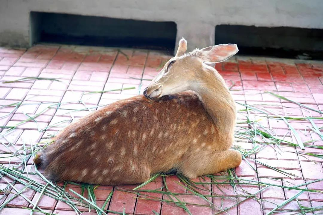 微信圖片_20200315115046 微信圖片_20200315115046