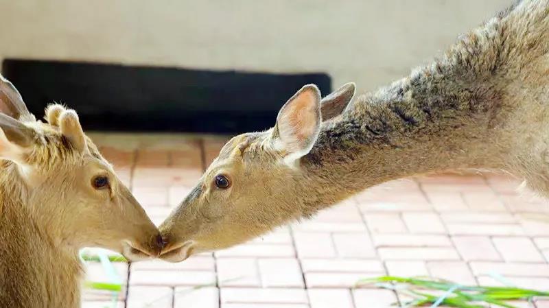 微信圖片_20200315115033 微信圖片_20200315115033