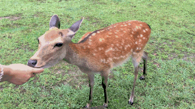 微信圖片_20200315115041 微信圖片_20200315115041