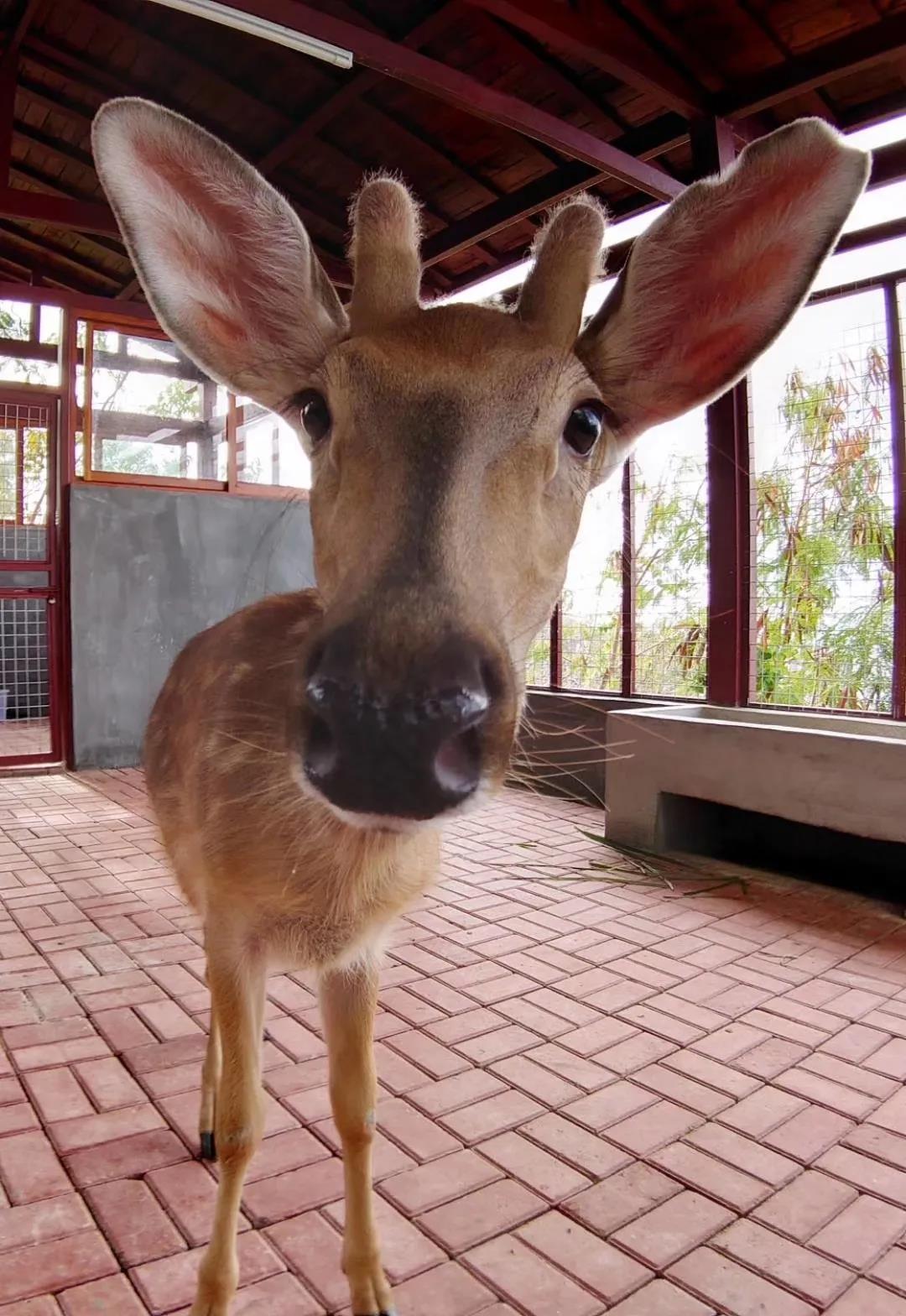 微信圖片_20200315115054 微信圖片_20200315115054