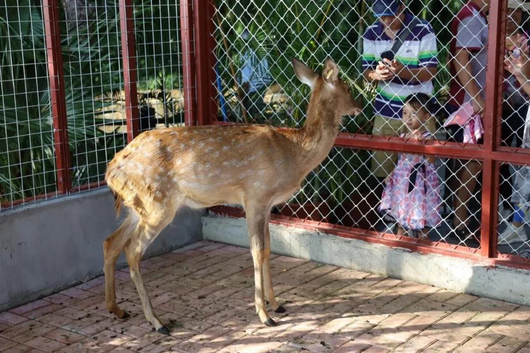 微信圖片_20200315115118 微信圖片_20200315115118