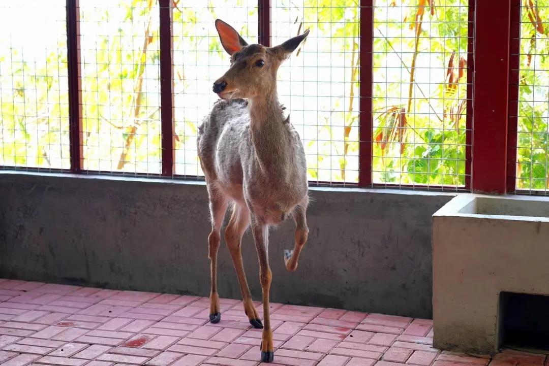 微信圖片_20200315115059 微信圖片_20200315115059