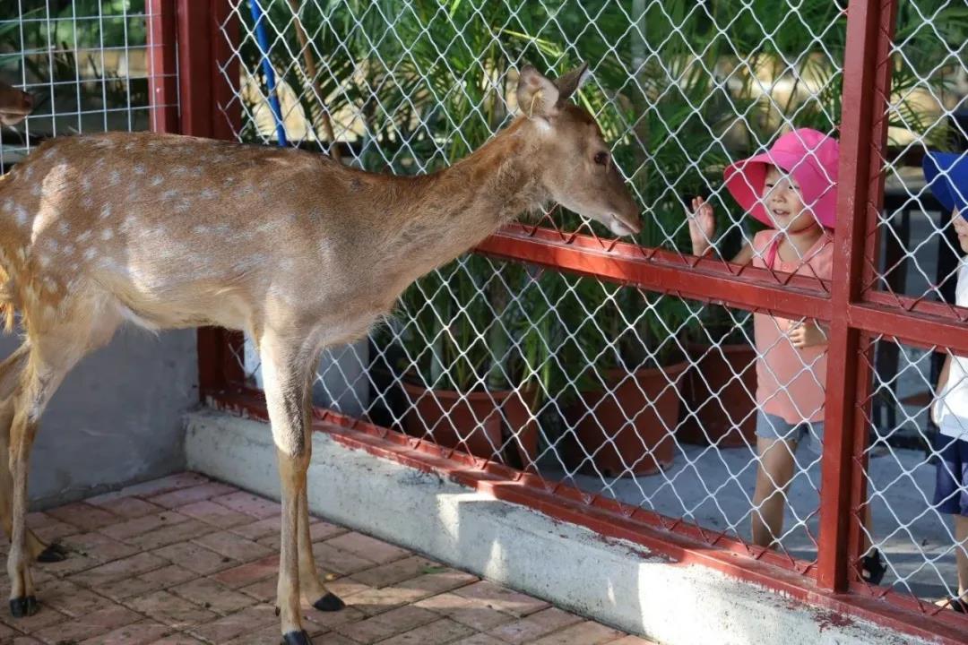 微信圖片_20200315115115 微信圖片_20200315115115