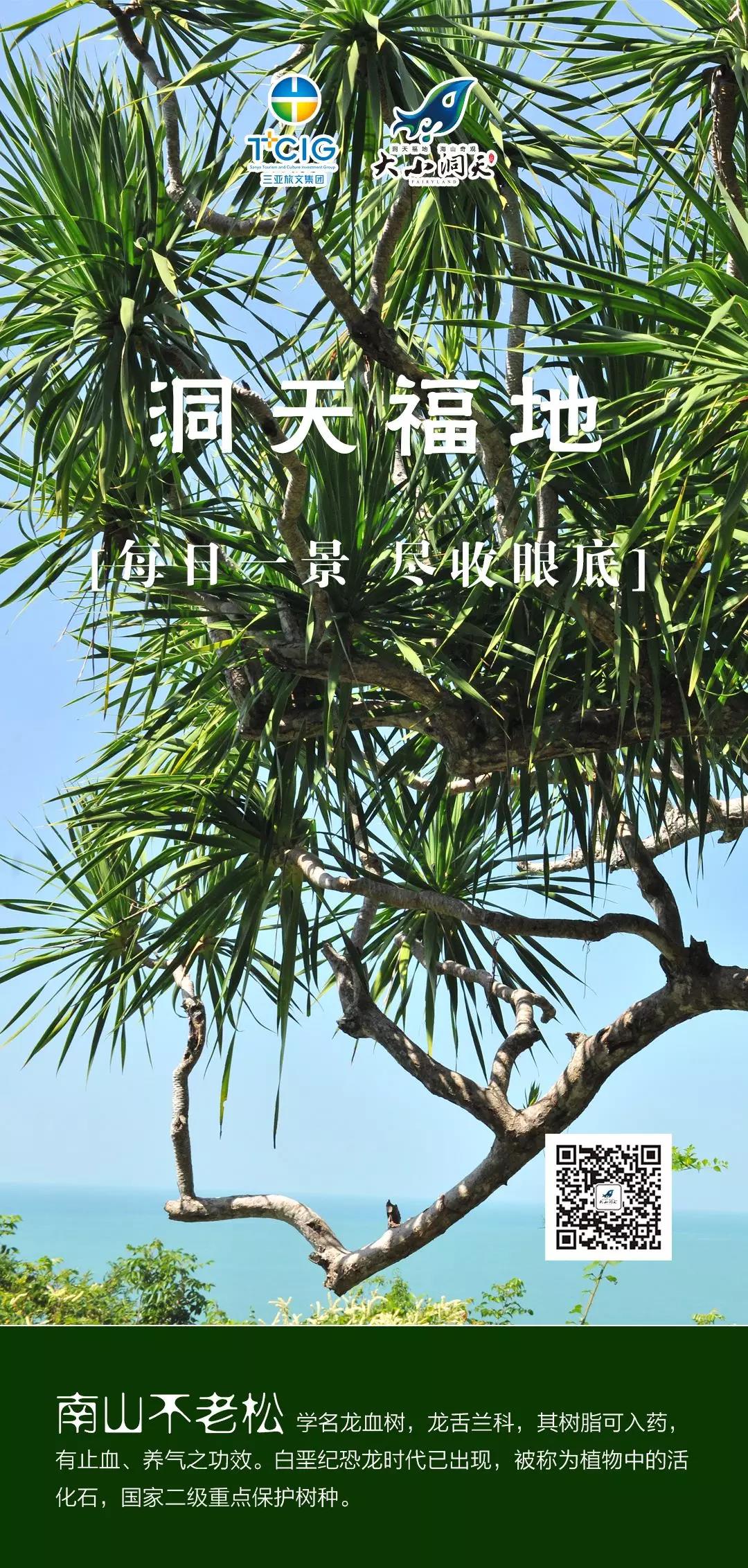 微信圖片_20200320155241