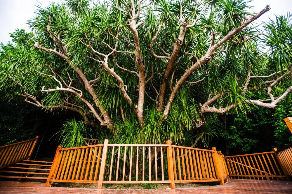 微信圖片_20200320154732 微信圖片_20200320154732