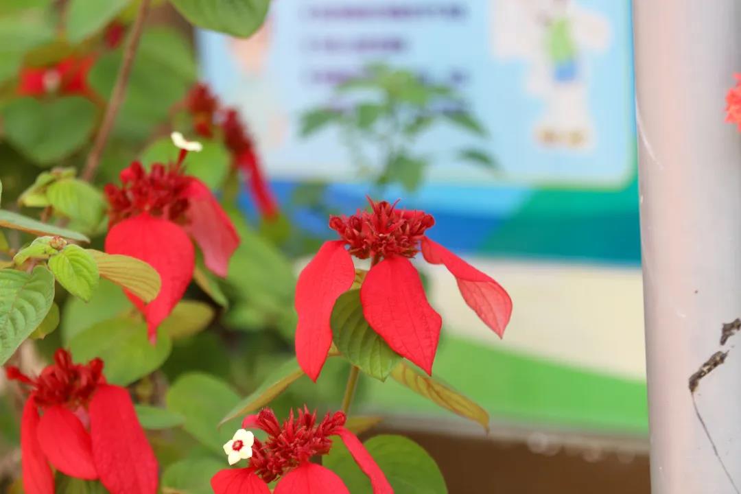 微信圖片_20200326094202 微信圖片_20200326094202