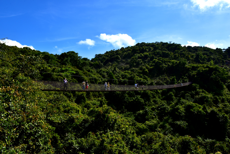 微信圖片_20200424092828 微信圖片_20200424092828