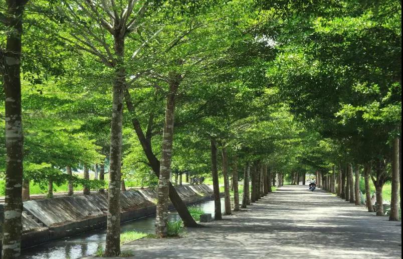 微信圖片_20200428095903 微信圖片_20200428095903