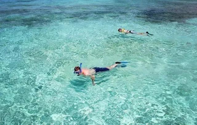 微信圖片_20200428095857 微信圖片_20200428095857