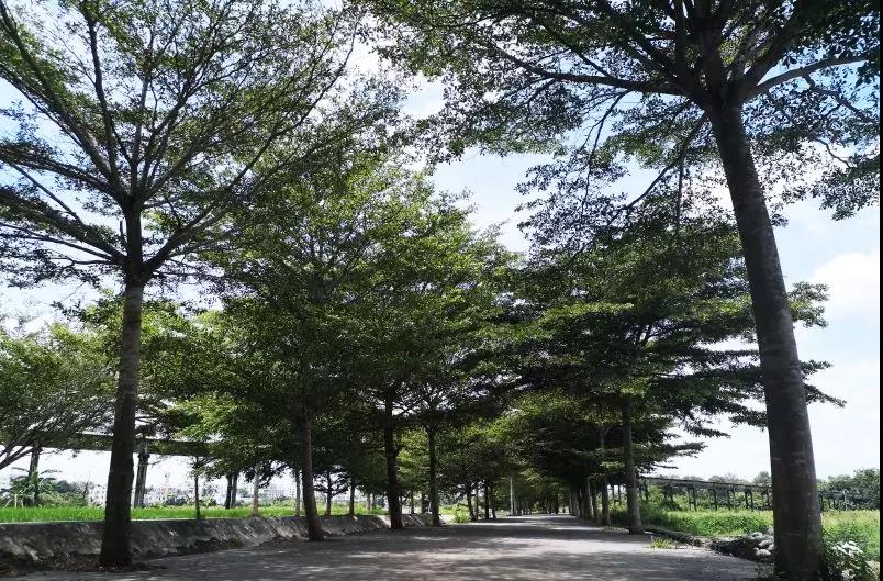 微信圖片_20200428095916 微信圖片_20200428095916