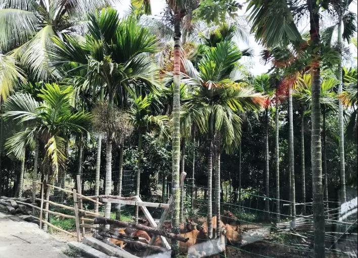 微信圖片_20200428095910 微信圖片_20200428095910