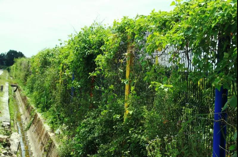 微信圖片_20200428095907 微信圖片_20200428095907