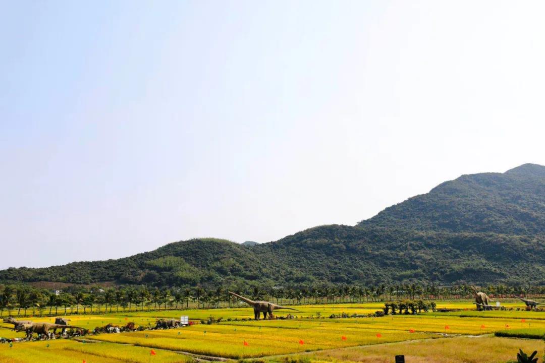 微信圖片_20200428095921 微信圖片_20200428095921