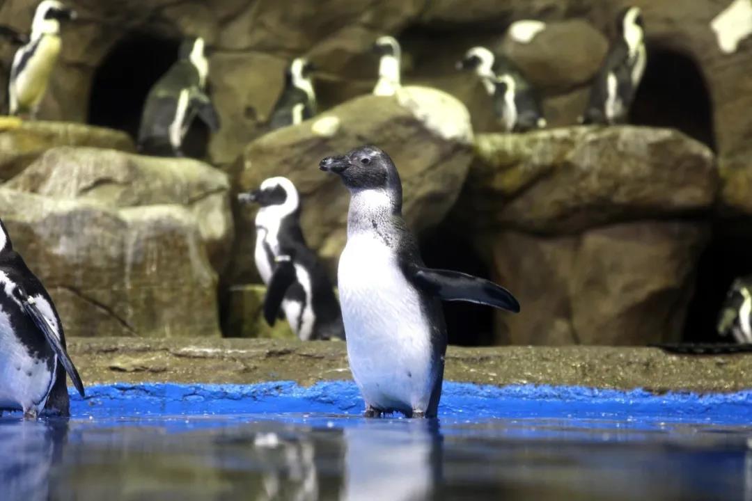 微信圖片_20200501125320 微信圖片_20200501125320