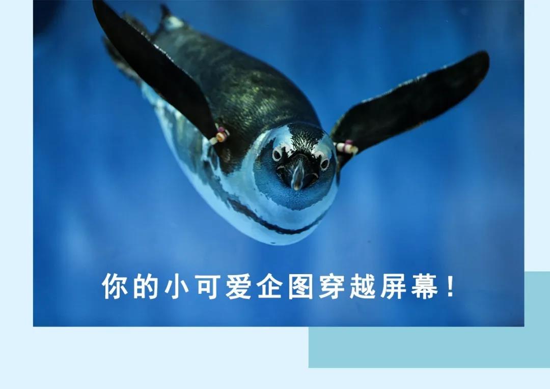 微信圖片_20200501125159 微信圖片_20200501125159