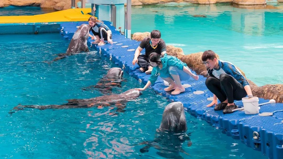 微信圖片_20200501125247 微信圖片_20200501125247