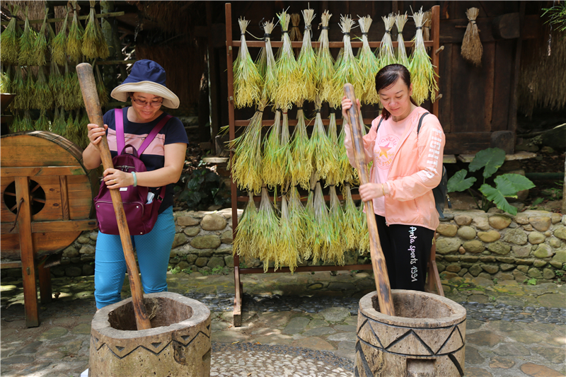 9、游客開心體驗(yàn)舂米